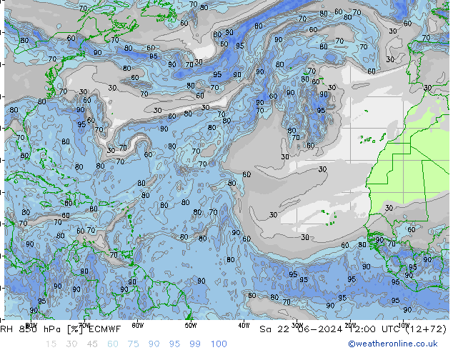 RH 850 hPa ECMWF So 22.06.2024 12 UTC