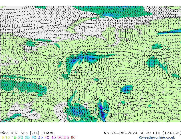 Wind 900 hPa ECMWF Mo 24.06.2024 00 UTC