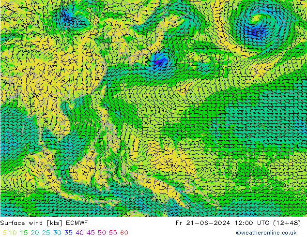  10 m ECMWF  21.06.2024 12 UTC