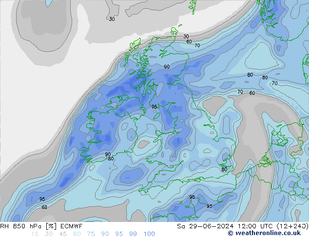 RH 850 гПа ECMWF сб 29.06.2024 12 UTC