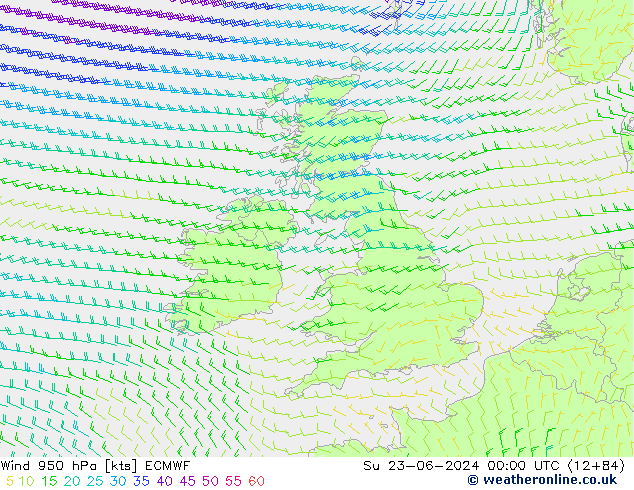 Wind 950 hPa ECMWF Su 23.06.2024 00 UTC