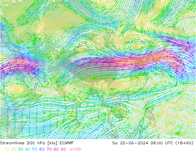 Linea di flusso 200 hPa ECMWF sab 22.06.2024 06 UTC