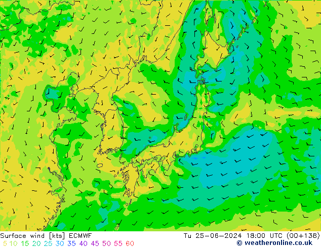 Surface wind ECMWF Tu 25.06.2024 18 UTC