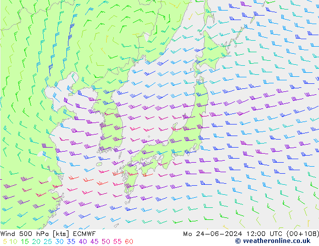 ветер 500 гПа ECMWF пн 24.06.2024 12 UTC