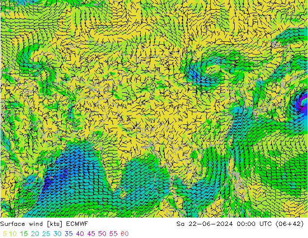 Surface wind ECMWF Sa 22.06.2024 00 UTC