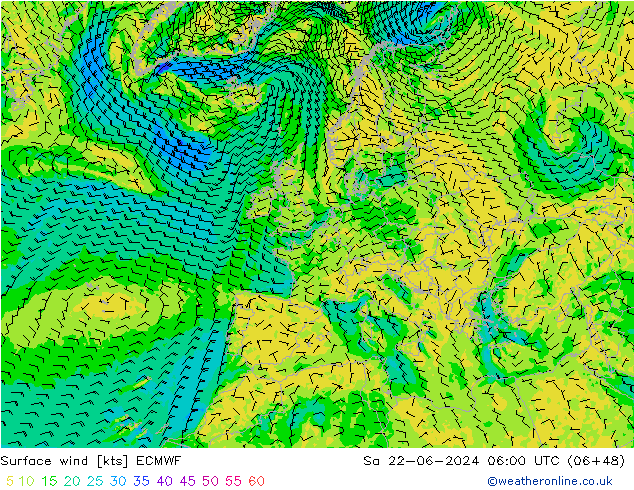 Vento 10 m ECMWF sab 22.06.2024 06 UTC