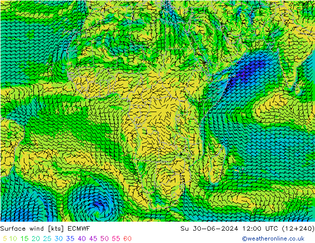 Wind 10 m ECMWF zo 30.06.2024 12 UTC