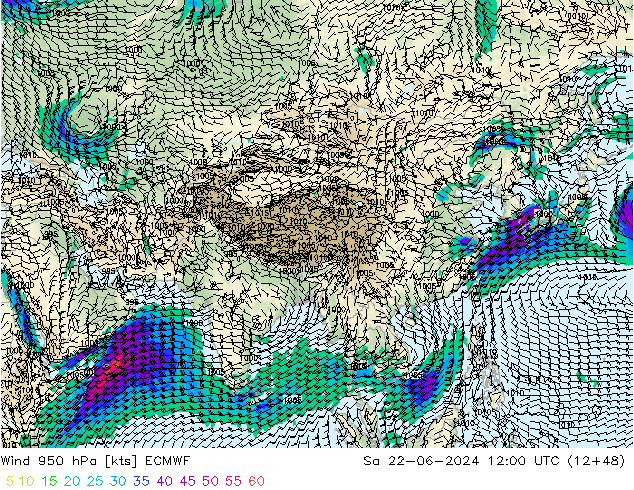Wind 950 hPa ECMWF za 22.06.2024 12 UTC