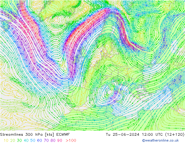 Rüzgar 300 hPa ECMWF Sa 25.06.2024 12 UTC