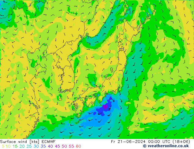 Surface wind ECMWF Pá 21.06.2024 00 UTC