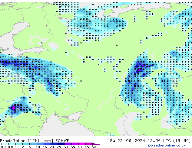 Totale neerslag (12h) ECMWF zo 23.06.2024 06 UTC