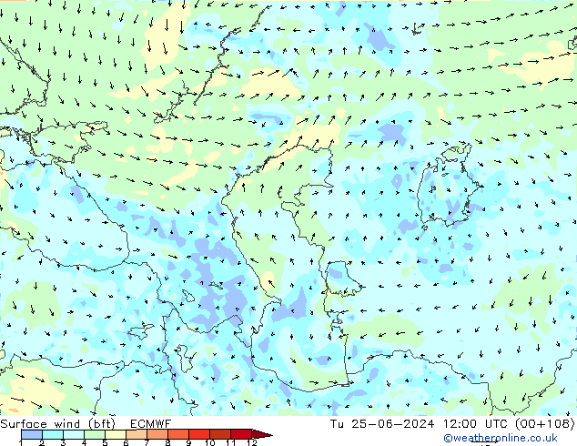 Surface wind (bft) ECMWF Tu 25.06.2024 12 UTC