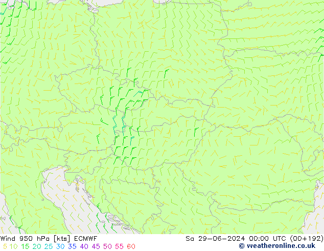 Wind 950 hPa ECMWF Sa 29.06.2024 00 UTC