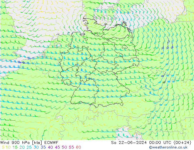 Wind 900 hPa ECMWF So 22.06.2024 00 UTC