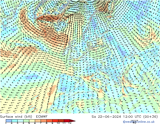 Vent 10 m (bft) ECMWF sam 22.06.2024 12 UTC