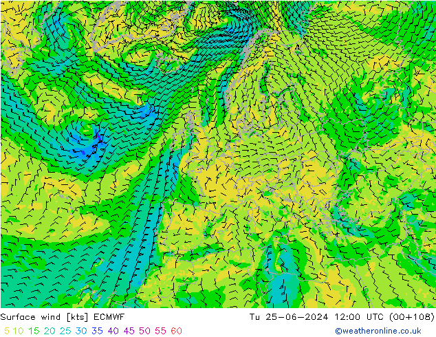 Wind 10 m ECMWF di 25.06.2024 12 UTC