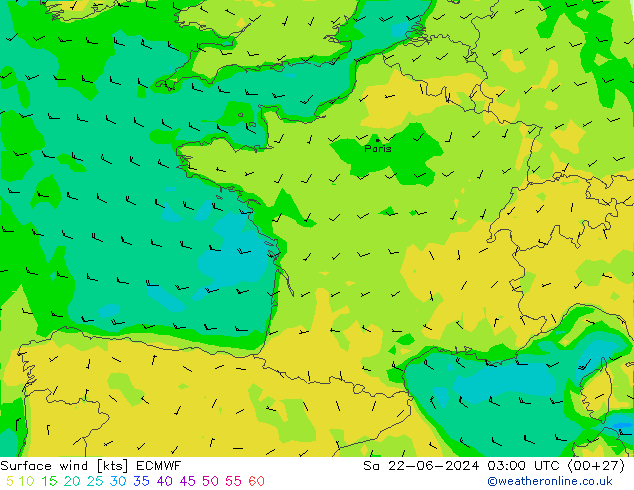 Bodenwind ECMWF Sa 22.06.2024 03 UTC