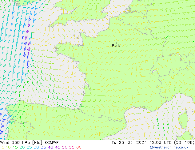 Wind 950 hPa ECMWF Út 25.06.2024 12 UTC