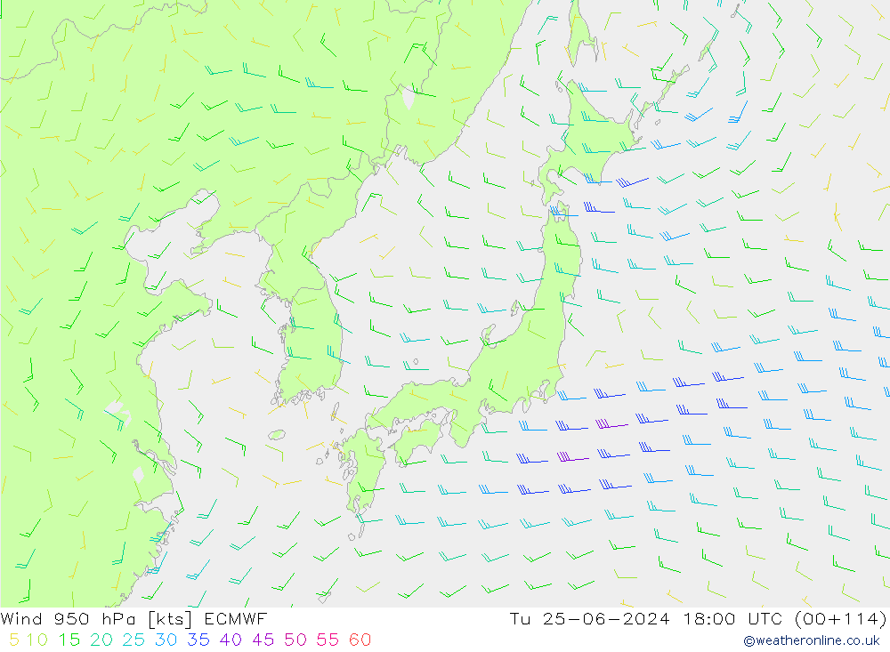  950 hPa ECMWF  25.06.2024 18 UTC