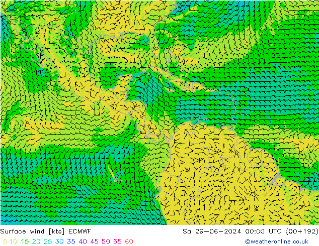  10 m ECMWF  29.06.2024 00 UTC