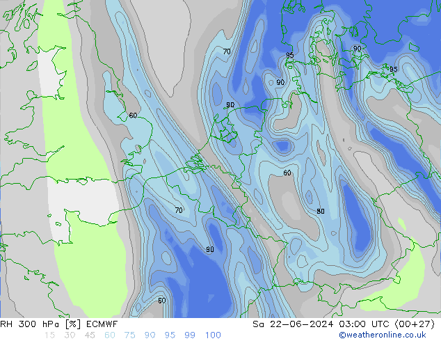 Humidité rel. 300 hPa ECMWF sam 22.06.2024 03 UTC