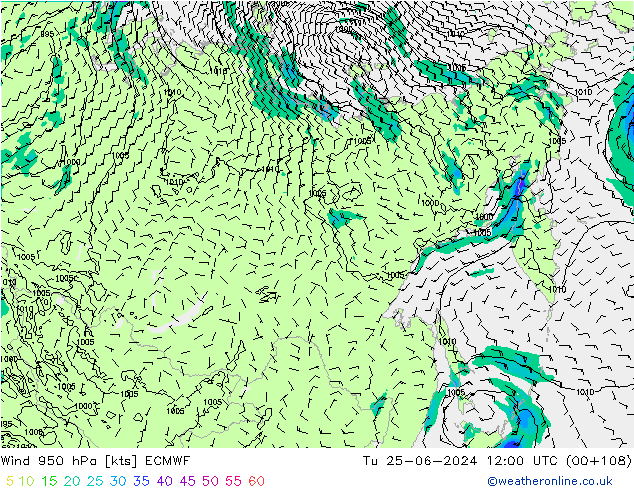 Wind 950 hPa ECMWF Út 25.06.2024 12 UTC