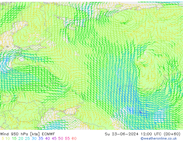 Rüzgar 950 hPa ECMWF Paz 23.06.2024 12 UTC