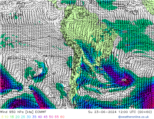 Vento 950 hPa ECMWF Dom 23.06.2024 12 UTC