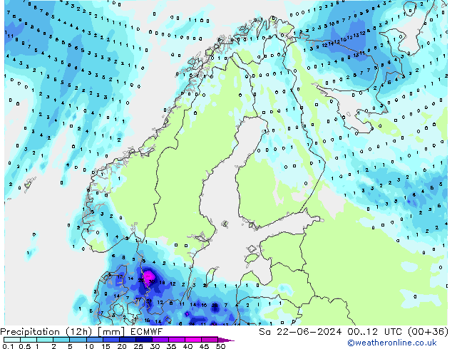 Precipitation (12h) ECMWF So 22.06.2024 12 UTC