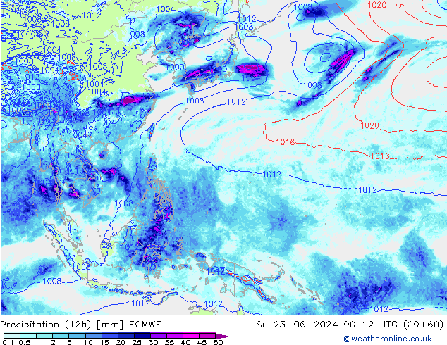 Totale neerslag (12h) ECMWF zo 23.06.2024 12 UTC