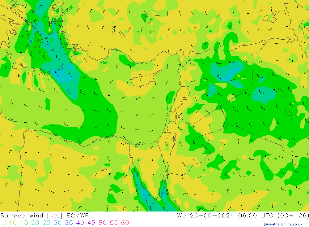 ветер 10 m ECMWF ср 26.06.2024 06 UTC