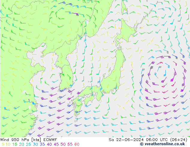 Wind 950 hPa ECMWF Sa 22.06.2024 06 UTC