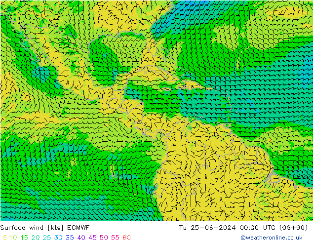 Surface wind ECMWF Tu 25.06.2024 00 UTC