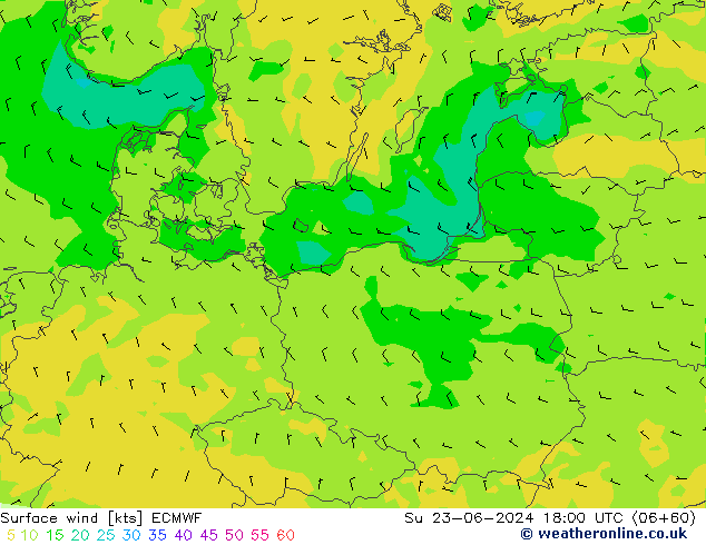 Prec 6h/Wind 10m/950 ECMWF dom 23.06.2024 18 UTC