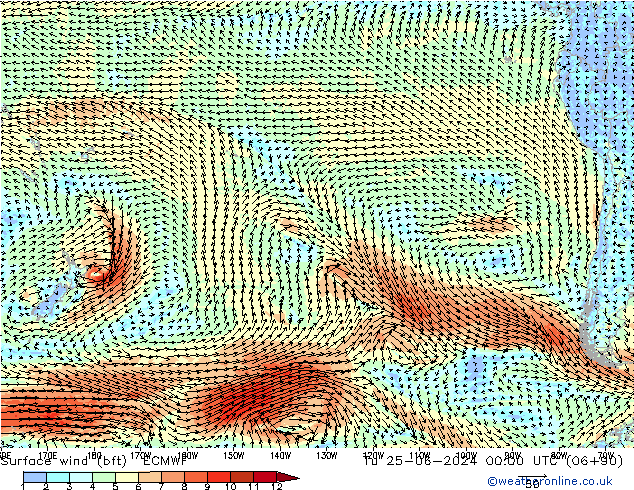 Vento 10 m (bft) ECMWF Ter 25.06.2024 00 UTC