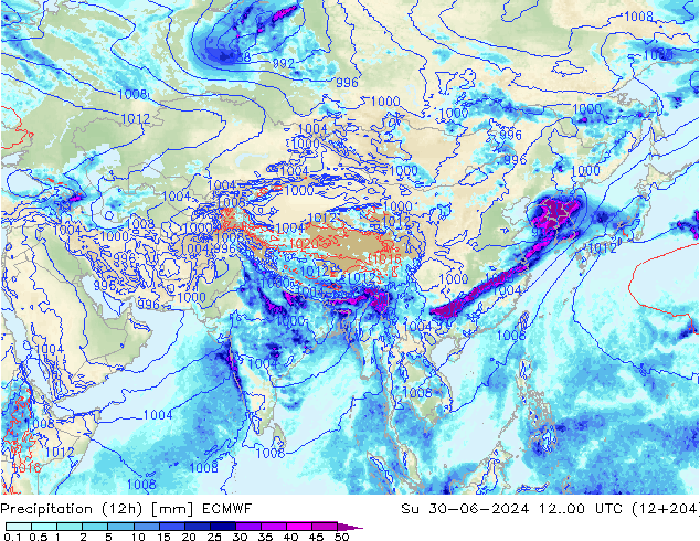 Precipitation (12h) ECMWF Su 30.06.2024 00 UTC
