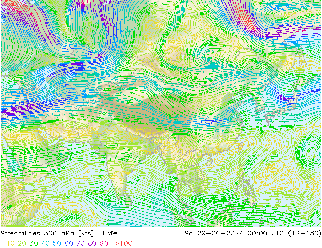 Streamlines 300 hPa ECMWF Sa 29.06.2024 00 UTC