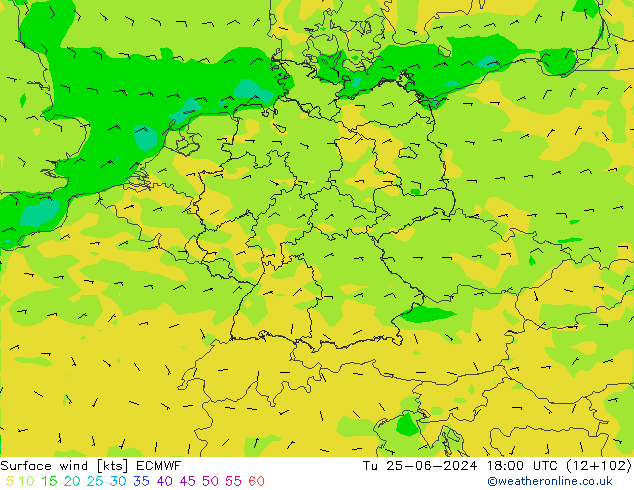 Surface wind ECMWF Tu 25.06.2024 18 UTC