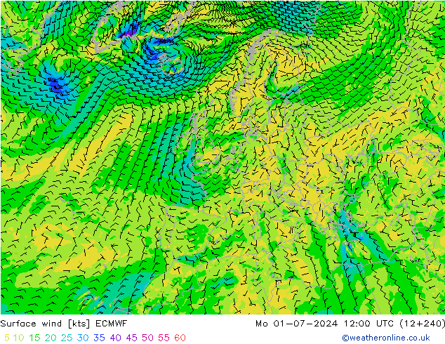 wiatr 10 m ECMWF pon. 01.07.2024 12 UTC