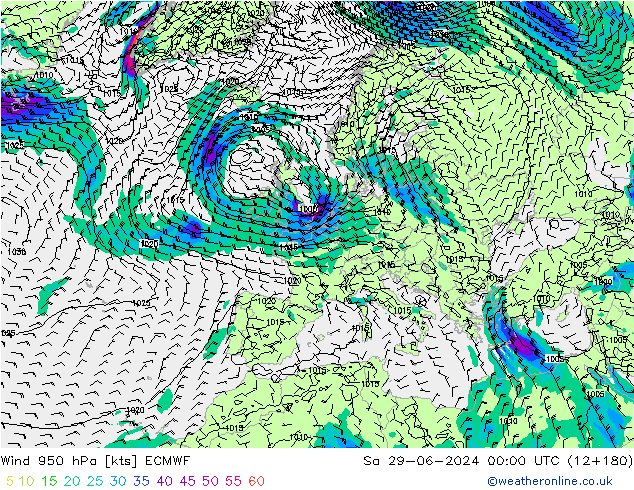 ветер 950 гПа ECMWF сб 29.06.2024 00 UTC