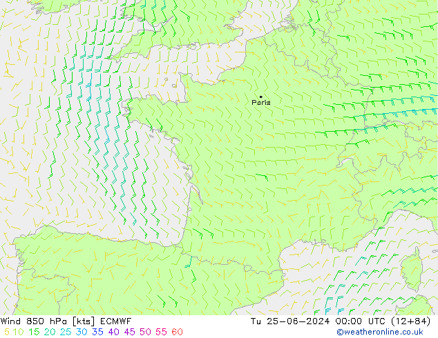 Wind 850 hPa ECMWF Tu 25.06.2024 00 UTC