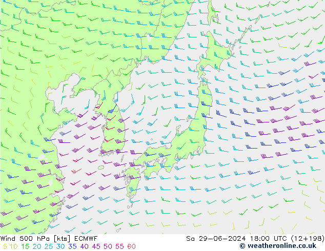 Wind 500 hPa ECMWF So 29.06.2024 18 UTC