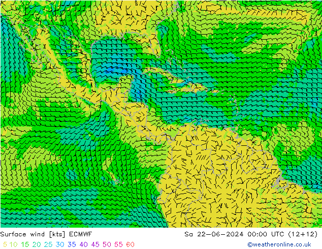 Vent 10 m ECMWF sam 22.06.2024 00 UTC