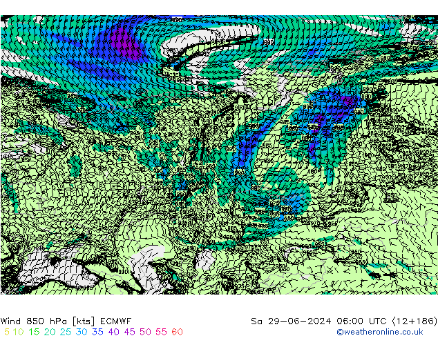 ветер 850 гПа ECMWF сб 29.06.2024 06 UTC