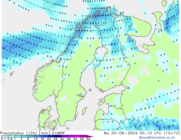 Precipitation (12h) ECMWF Po 24.06.2024 12 UTC