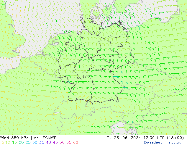 Wind 850 hPa ECMWF Tu 25.06.2024 12 UTC