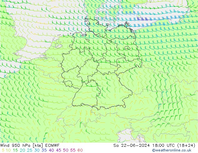 ветер 950 гПа ECMWF сб 22.06.2024 18 UTC