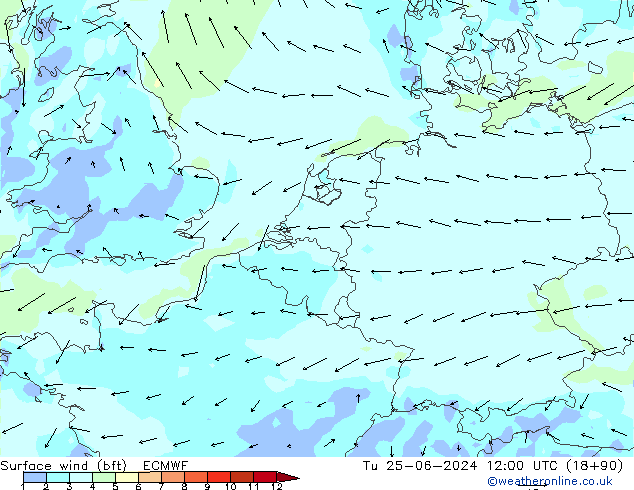 Surface wind (bft) ECMWF Út 25.06.2024 12 UTC