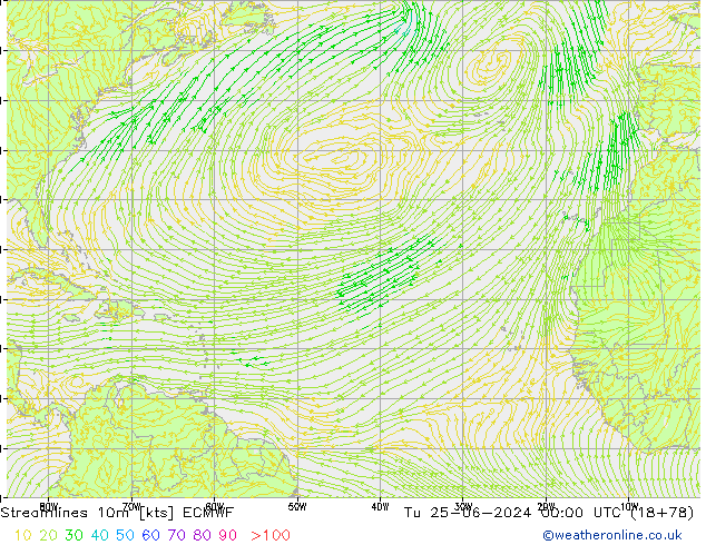 Streamlines 10m ECMWF Tu 25.06.2024 00 UTC