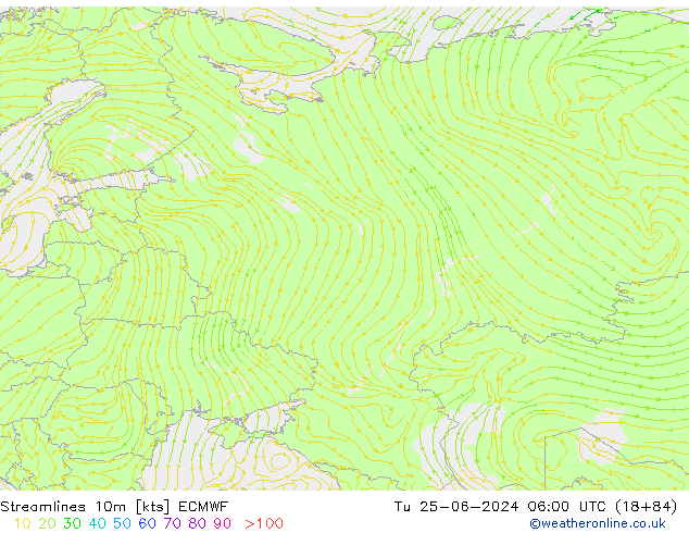 Linia prądu 10m ECMWF wto. 25.06.2024 06 UTC
